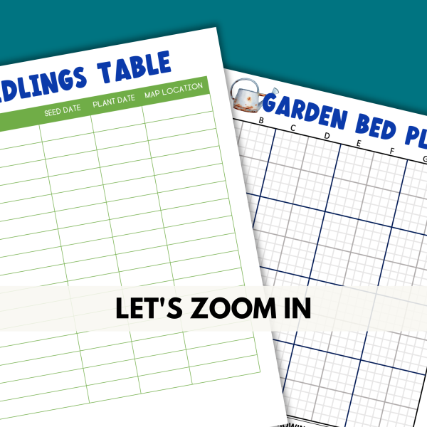 teal background, white stripe Let's Zoom In, Seedling Table and Garden Bed Plan zoomed in