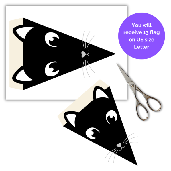 shows image of black cat on letter size paper and then shows one cut out, with a pair of scissors, purple bubble explains you will receive 13 flags on US size Letter