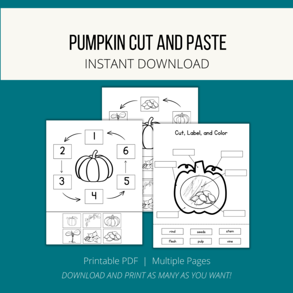 teal background, cream stripe Pumpkin Cut and Paste, Instant Download, btm Printable PDF, Multiple Pages, Download and Print as Many as you want, shows pages of life cycle of pumpkin and cut, label, and color shows the inside of a pumpkin with boxes