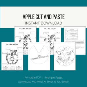 teal background, cream stripe, Apple Cut and Paste, Instant Download, btm Printable PDF, Multiple Pages, Download and Print as Many as you Want. Shows images of circle wheel with life of apple tree, cut and label apple parts