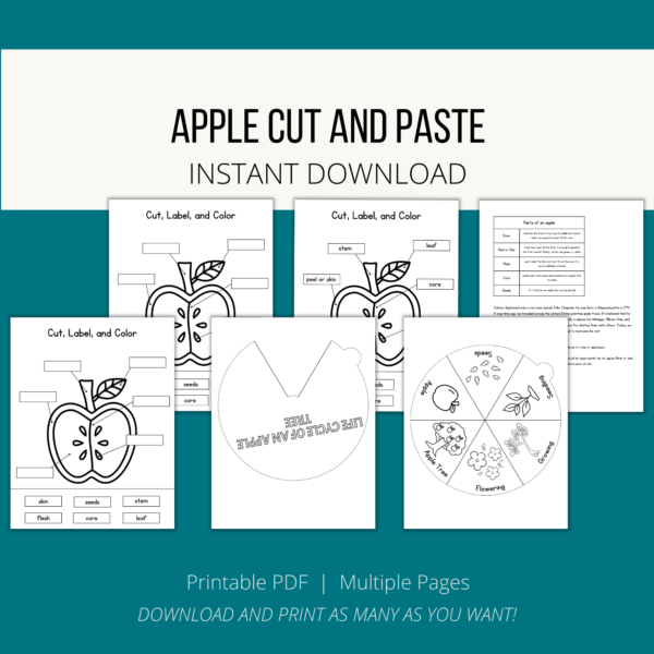 teal background, cream stripe, Apple Cut and Paste, Instant Download, btm Printable PDF, Multiple Pages, Download and Print as Many as you Want. Shows images of circle wheel with life of apple tree, cut and label apple parts