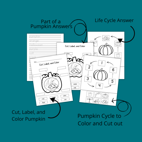 teal background, part of a pumpkin answers, life cycle answer, cut, label, color pumpkin, pumpkin cycle to color and cut out, pumpkin handwriting sheet