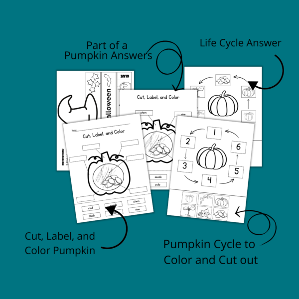 teal background, parts of a pumpkin anwser, life cycle answers, pumpkin cycle color and cut out, cut label, pumpkin parts, halloween hats