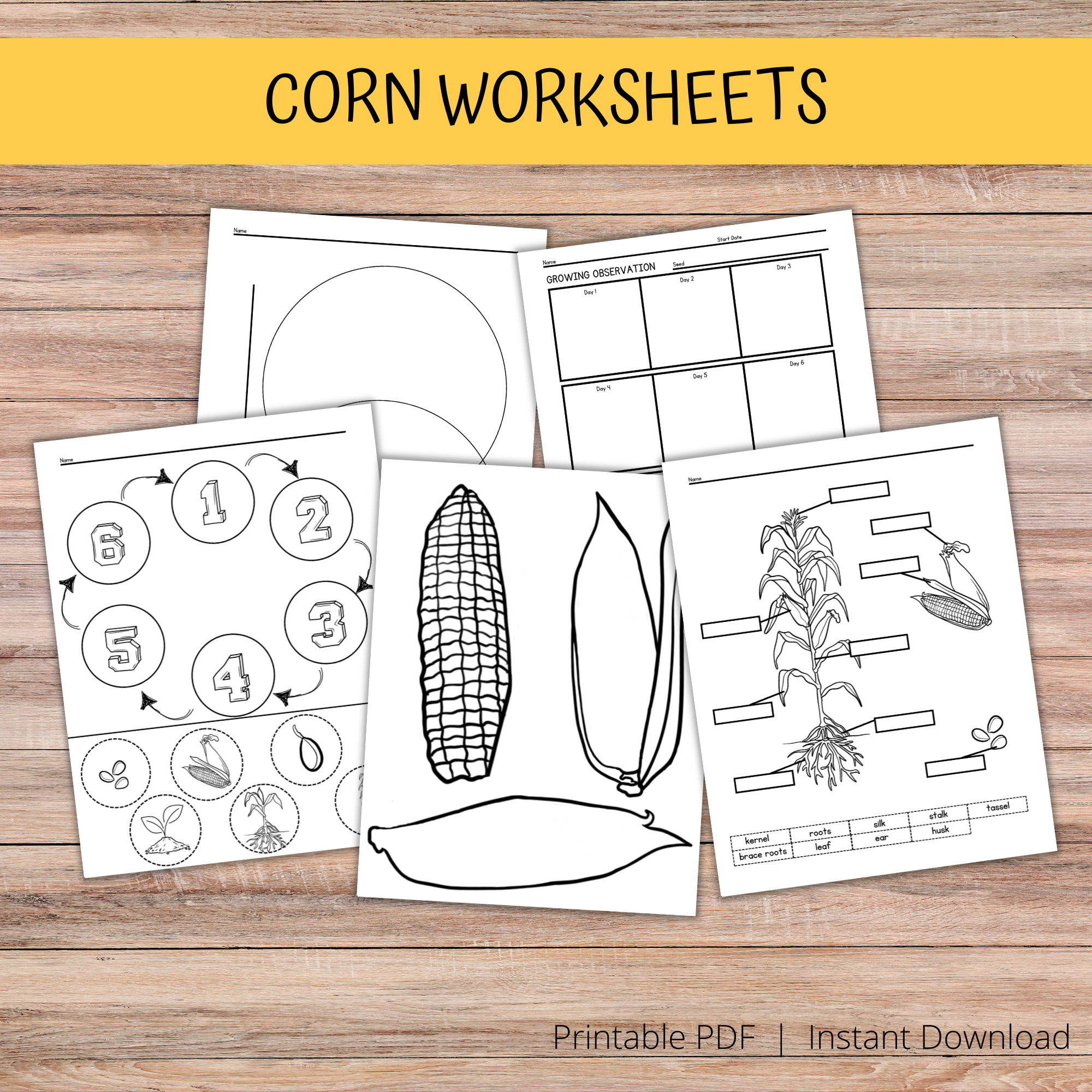 brown wood table, corn worksheets, instant download, printable pdf, shows all 5 pages including corn craft, life cycle of corn, parts of a corn stalk